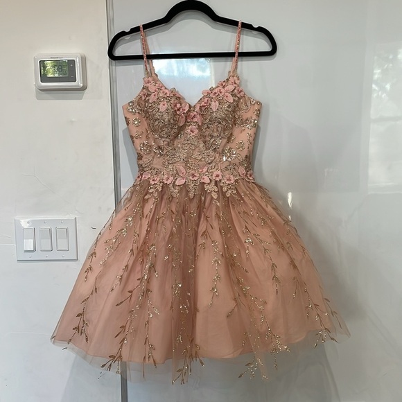 Dancing Queen Blush Pink Gold Embroidered Tulle Floral Mini Dress Size XS - Picture 5 of 16